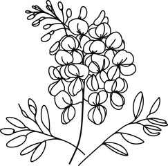 Lilacs flower in continuous line drawing minimalist style.
