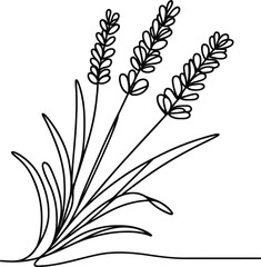 Lavender flower in continuous line drawing minimalist style.