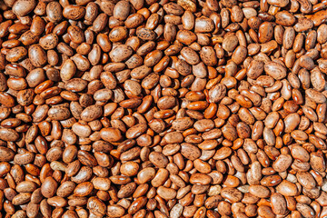 Rich Brown Symphony: Close-Up of Saturated Pinto Beans Texture