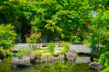 Fototapeta na wymiar 緑溢れる日本の庭