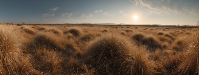 Amazing panoramic view of a dried grass lands from Generative AI