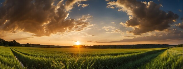 Panoramic view of a wheat field at sunset from Generative AI