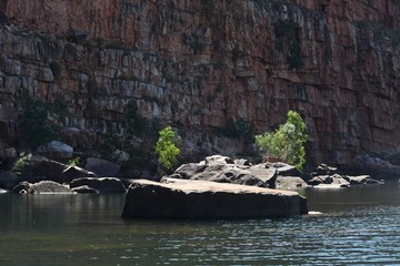An enormous rock lies in a river at the base of a cliff. Other fallen rocks are nearby. Young saplings covered with bright green leaves grow amongst them, and also on the cliff face. 