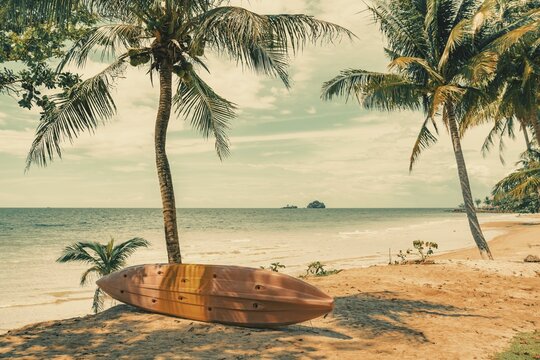 The Kae Bae beach with palm trees in Koh Chang island, Trat province, Thailand 