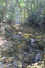 a nature path at Lung Fu Shan Fitness Trail