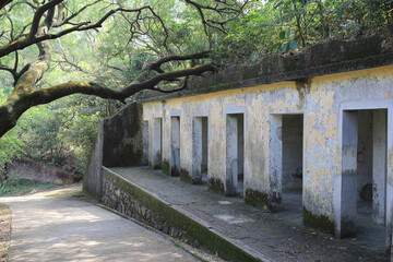 Feb 28 2015 Lung Fu Shan Country Park, Hong Kong