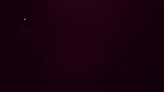 フィルムノイズ効果動画 9 ( 光漏れレンズフレア付き)