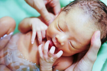 男の子の新生児がお風呂に入れてもらっている / Newborn baby boy being bathed
