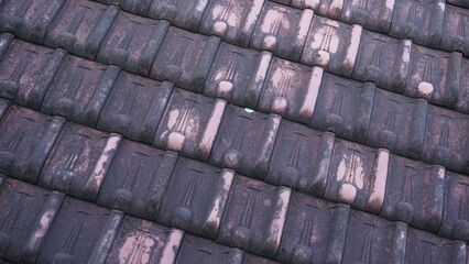 The neatly arranged tile roofs form a texture 