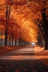 autumn trees line the path in an autumn forest