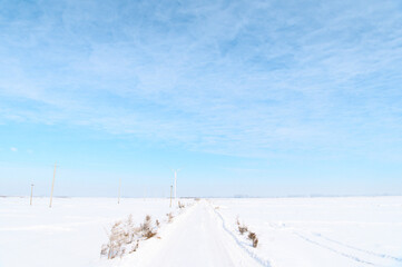 Fototapeta premium 銀世界への雪道