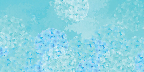 アジサイ　梅雨　花　背景