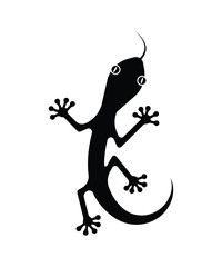 gecko icon, vector best flat icon.