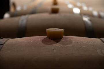 WIne celler with french oak barrels for aging of red wine made from Cabernet Sauvignon grape...