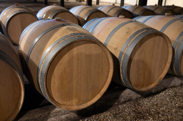 WIne celler with french oak barrels for aging of red wine made from Cabernet Sauvignon grape...