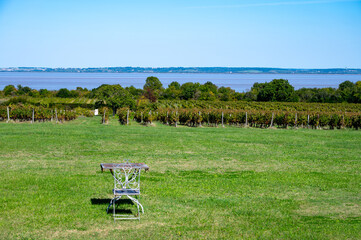 View on green vineyards, wine domain or chateau in Haut-Medoc red wine making region, Bordeaux, left bank of Gironde Estuary, France