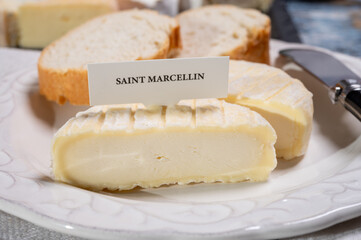French cheeses collection, Saint-Marcellin cow's milk cheese with white mold from Rhône-Alpes region of France
