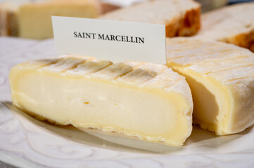 French cheeses collection, Saint-Marcellin cow's milk cheese with white mold from Rhône-Alpes region of France