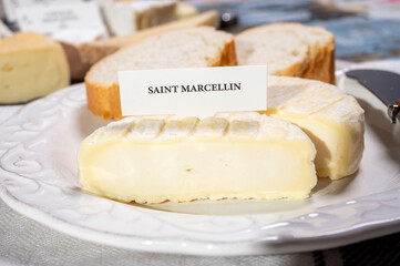 French cheeses collection, Saint-Marcellin cow's milk cheese with white mold from Rhône-Alpes region of France