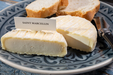 French cheeses collection, Saint-Marcellin cow's milk cheese with white mold from Rhône-Alpes region of France