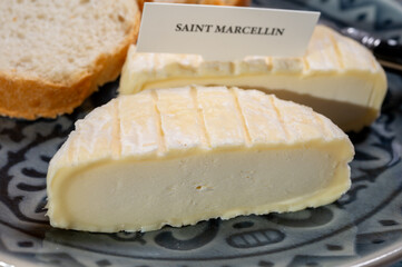French cheeses collection, Saint-Marcellin cow's milk cheese with white mold from Rhône-Alpes region of France