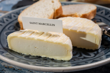 French cheeses collection, Saint-Marcellin cow's milk cheese with white mold from Rhône-Alpes...