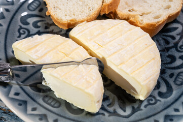 French cheeses collection, Saint-Marcellin cow's milk cheese with white mold from Rhône-Alpes region of France