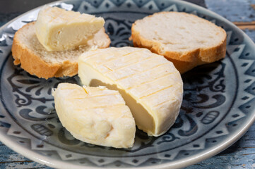 French cheeses collection, Saint-Marcellin cow's milk cheese with white mold from Rhône-Alpes region of France
