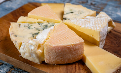 Tasting plate with small pieces of different French cheeses, variety of cheeses
