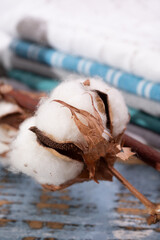 Soft natural fiber kitchen and bed textile made from organic cotton bolls close up
