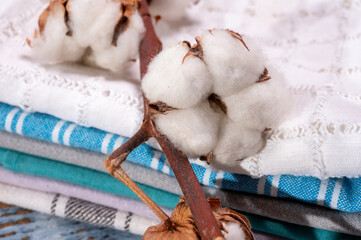 Soft natural fiber kitchen and bed textile made from organic cotton bolls close up