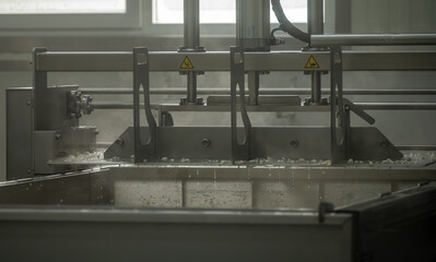 Process of organic cheese making from cow milk on bio cheese farm in Netherlands, dutch cheese production