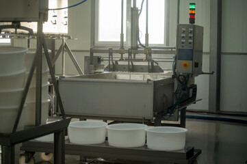 Process of organic cheese making from cow milk on bio cheese farm in Netherlands, dutch cheese production