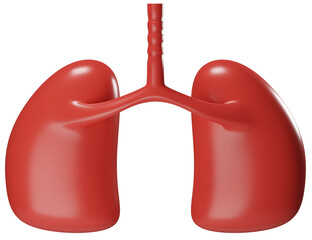 3D rendering healthy lung organ illustration. 3D icon