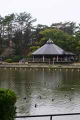 Obraz premium 千葉公園