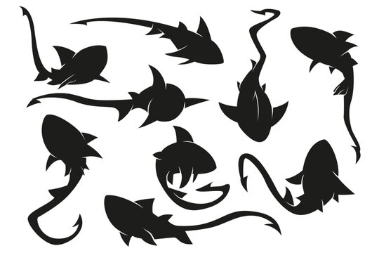 Set of shark silhouette, predator of sea black and white vector illustration