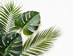 Fototapeta premium Beautiful green palm and monstera leaves with copy space on white background. Natural floral