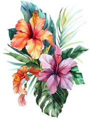 A watercolor illustration, illustrations exotic tropical flowers like orchids and hibiscus, transporting viewers to a lush and vibrant paradise. on Transparent background - 745535121