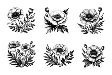 vector set of poppy flower line art style - black (artwork 1) - obrazy, fototapety, plakaty