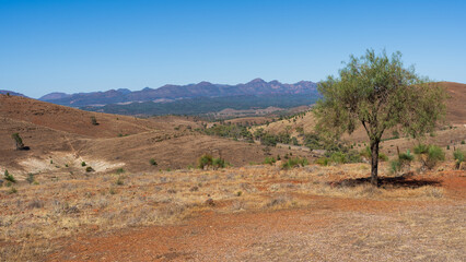 Vista of the Flinders Ranges and Wilpena Pound as seen from the Hucks lookout