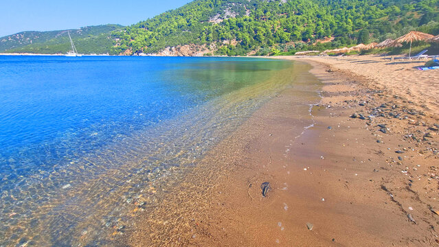 skyros or skiros island, pefkos beach pine trees beside the sea summer destination in greece