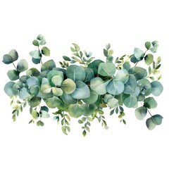 Watercolor of green floral banner with eucalyptus leaves on white background