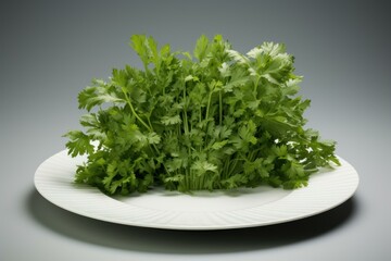 Bright Fresh parsley plate. Green healthy kitchen plant on wooden table. Generate ai