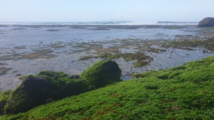 Tropical ocean view with cliffs