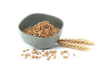 Bowl filled with wheat grains and ear of wheat isolated on white