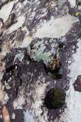 RUgged coastline, South Coast , New South Wales, Australia