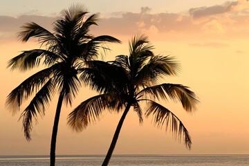 Fototapeta na wymiar Under a serene sky The silhouette of coconut palms Capturing the essence of a tranquil beach getaway Embodies the quintessential summer vibe