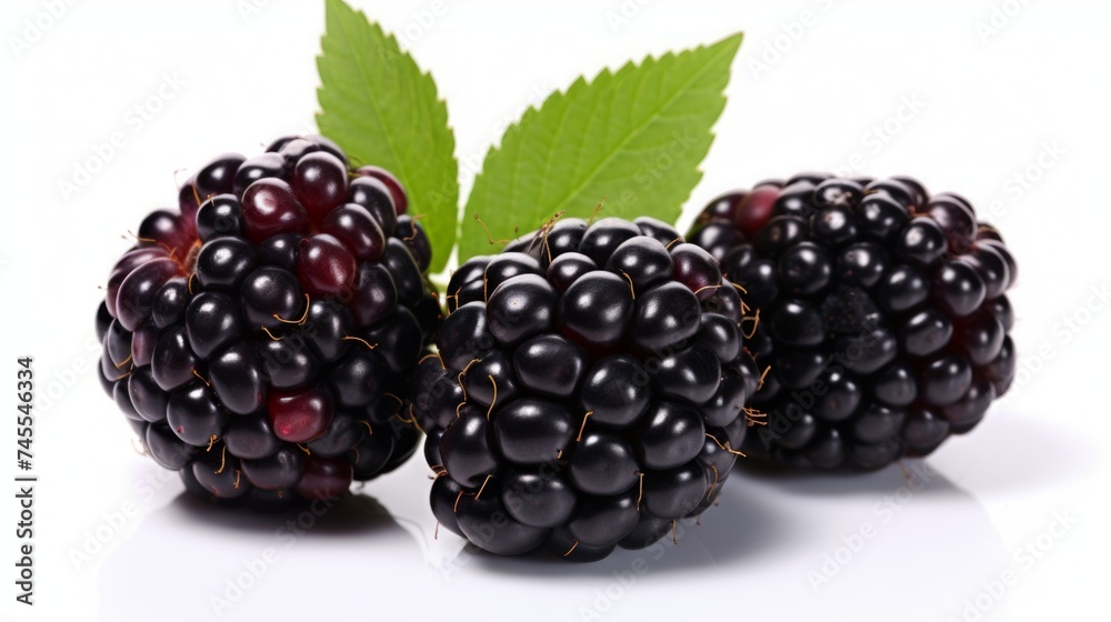 Poster close-up realistic photo featuring three juicy blackberries on a white background generative ai