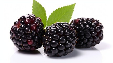 Close-up realistic photo featuring three juicy blackberries on a white background Generative AI