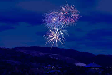 夜空に咲く大輪の花火